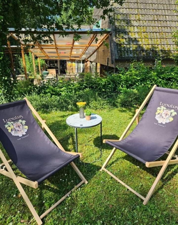 Boshuis Nos Bohio Durbuy Kültér fotó